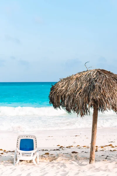 Pastoral tropikal plaj beyaz kum, turkuaz okyanus su ve büyük palmiye ağaçları ile