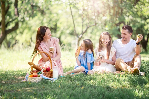 Família feliz em um piquenique no parque em um dia ensolarado — Fotografia de Stock