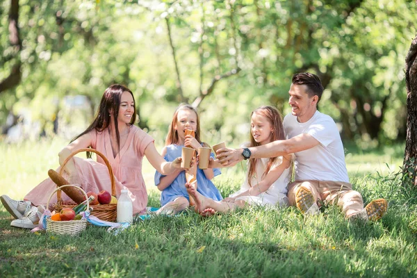 Gelukkige familie op een picknick in het park op een zonnige dag — Stockfoto