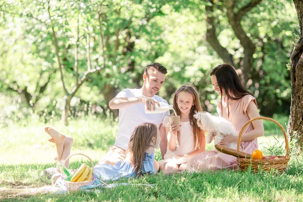 Mutlu aile güneşli bir günde parkta piknik yapıyor. — Stok fotoğraf