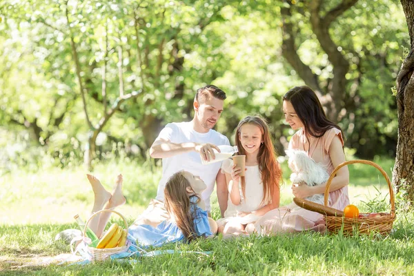 Happy family on a picnic in the park on a sunny day — Stock Photo, Image