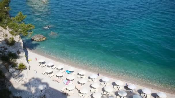 Rezerv Gargano güzel plaj — Stok video