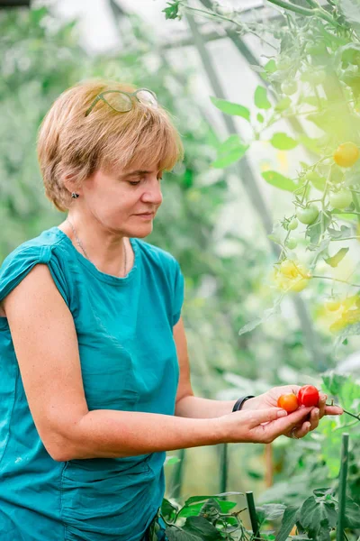 Femme avec panier de verdure et légumes dans la serre. Temps de récolte . — Photo