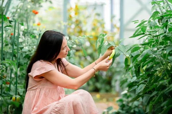 Junge Frau mit Korb mit Grünzeug und Gemüse im Gewächshaus. Erntezeit — Stockfoto