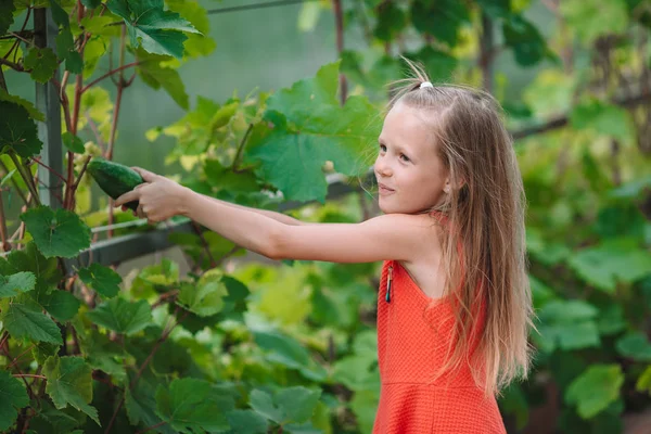 Suloinen pieni tyttö korjaa kurkkuja ja tomaatteja kasvihuoneessa . — kuvapankkivalokuva