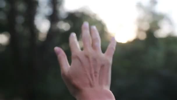 자동차 창에서 여성의 손 — 비디오