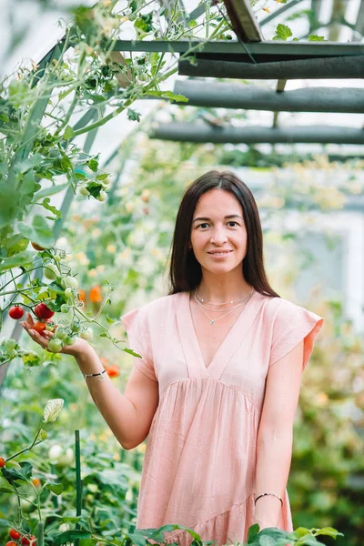 Jeune femme avec panier de verdure et légumes dans la serre. Temps de récolte — Photo