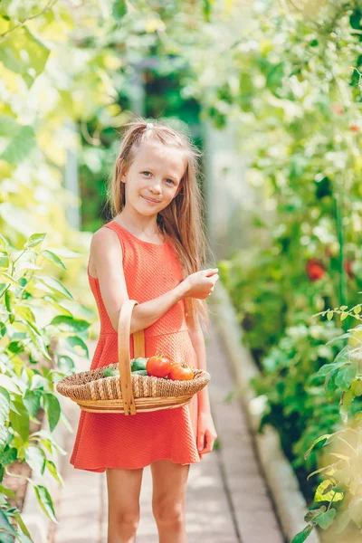 Carino bambina raccoglie cetrioli di raccolto e pomodori in serra — Foto Stock