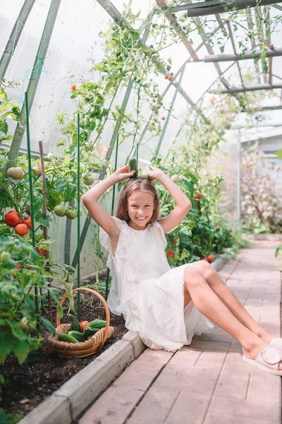 Rozkošná holčička sbírající okurky a rajčata ve skleníku. — Stock fotografie