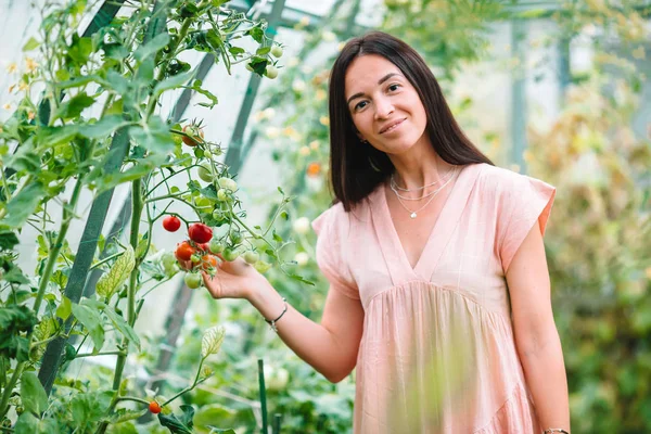 Jovem com cesta de verduras e verduras na estufa. Tempo de colheita — Fotografia de Stock