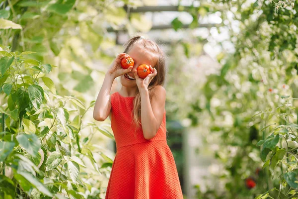 温室内の手で大きなトマトと子供の肖像画 — ストック写真
