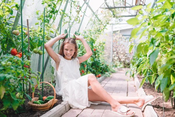 Entzückendes kleines Mädchen erntet Gurken und Tomaten im Gewächshaus. — Stockfoto