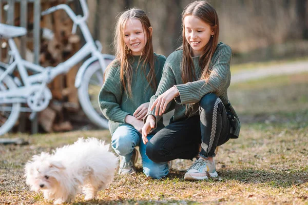 Kleine meisjes met een witte pup. Een pup in de handen van een meisjes — Stockfoto