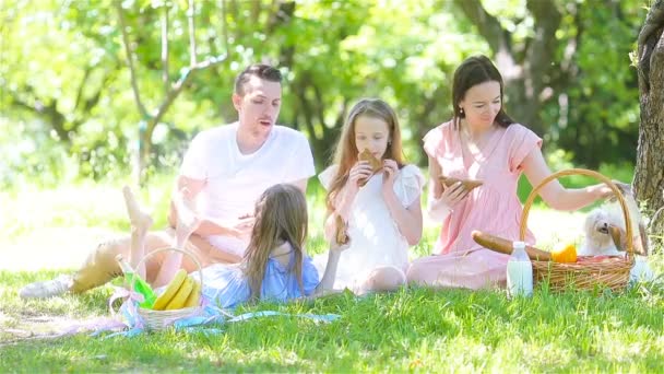 Gelukkige familie op een picknick in het park op een zonnige dag — Stockvideo