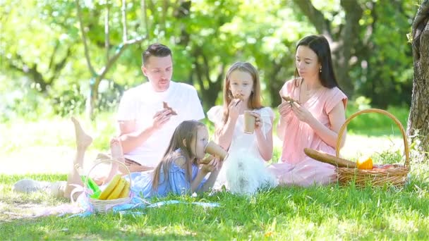 Família feliz em um piquenique no parque em um dia ensolarado — Vídeo de Stock