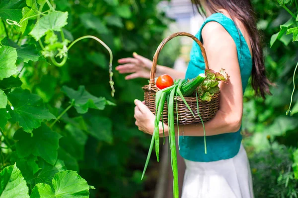 Close-up basket of greens in womans hands — Stock Photo, Image