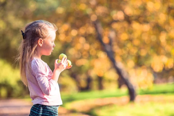 美丽的秋日，一个可爱的小女孩在户外 — 图库照片