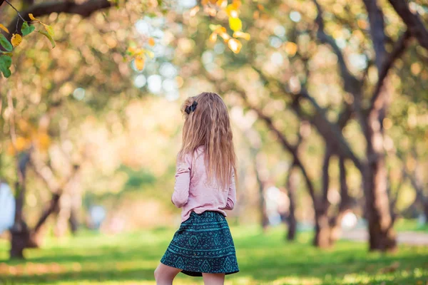 Adorable niña en hermoso día de otoño al aire libre —  Fotos de Stock