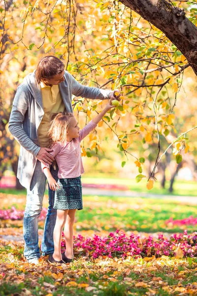 Baba ve çocuğun ailesi Parkta güzel bir sonbahar günü — Stok fotoğraf