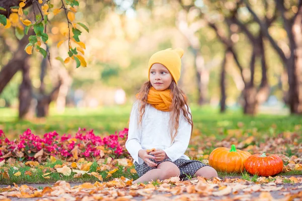 Little adorable girl with pumpkin outdoors on a warm autumn day. — Stock Photo, Image