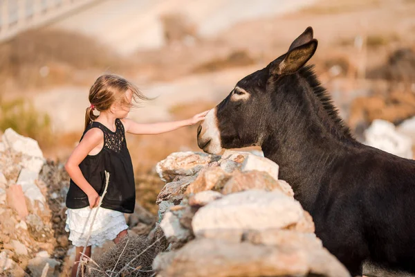 Mykonos adasında eşekli küçük bir kız. — Stok fotoğraf