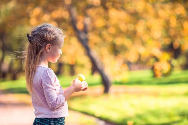 Adorable little girl at beautiful autumn day outdoors — Stock Photo, Image