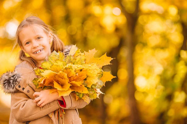 Portrait d'adorable petite fille avec bouquet de feuilles jaunes à l'automne — Photo