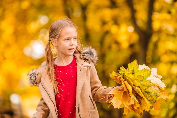 Retrato de menina adorável com folhas amarelas buquê no outono — Fotografia de Stock