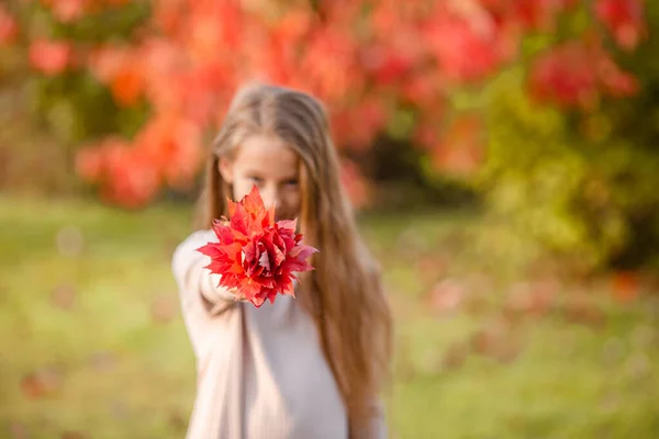 Portrait d'adorable petite fille avec bouquet de feuilles jaunes à l'automne — Photo