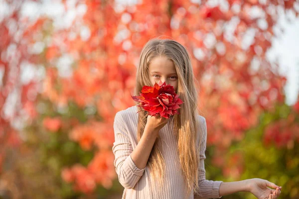 Ritratto di adorabile bambina con bouquet di foglie gialle in autunno — Foto Stock