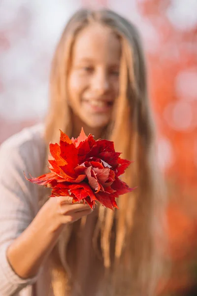 Ritratto di adorabile bambina con bouquet di foglie gialle in autunno — Foto Stock