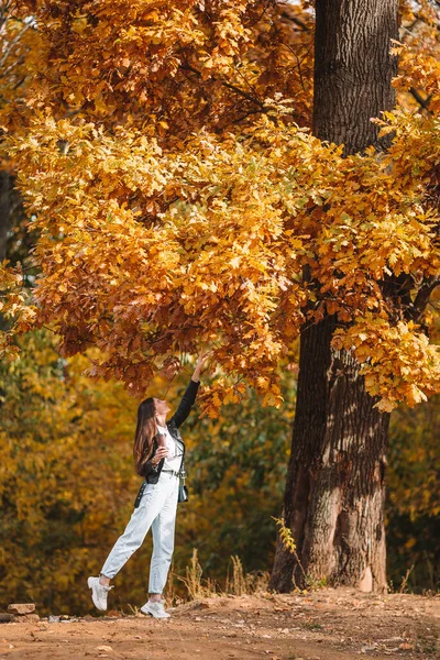 秋のコンセプト-紅葉の下で秋の公園の美しい女性 — ストック写真