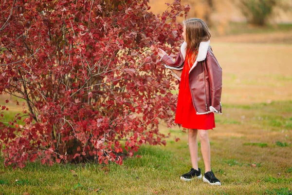 Dışarıda güzel bir sonbahar gününde sevimli küçük bir kız. — Stok fotoğraf