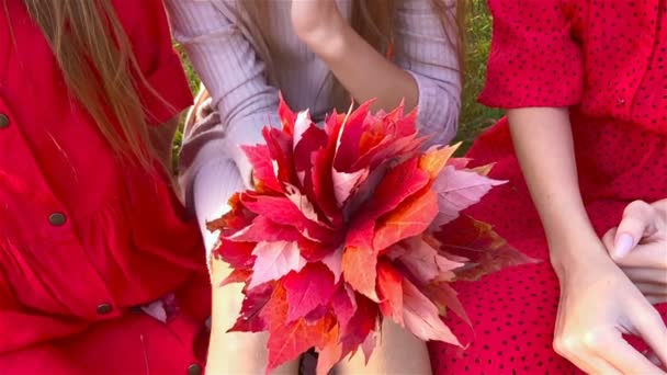 Kleines Mädchen mit Mama im Park am Herbsttag — Stockvideo