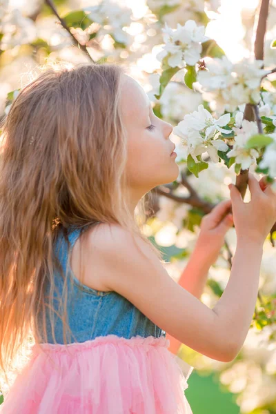 Schattig klein meisje in bloeiende appeltuin op mooie lentedag — Stockfoto