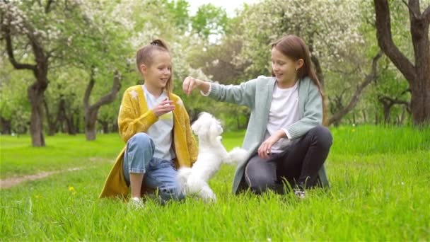 Маленькие улыбающиеся девочки играют и обнимают щенка в парке — стоковое видео