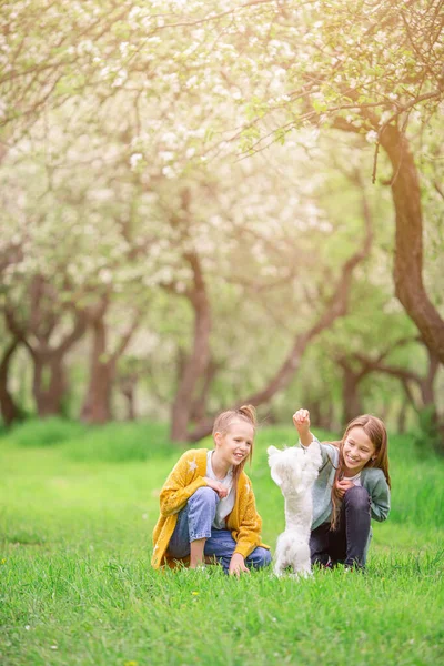 Маленькі усміхнені дівчата грають і обіймають цуценя в парку — стокове фото