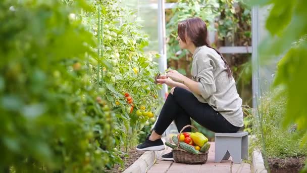 Mladá žena s košíkem zeleně a zeleniny ve skleníku. Čas sklizně. — Stock video