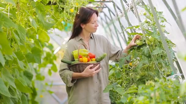 Jonge vrouw met mand van groen en groenten in de kas. Tijd om te oogsten. — Stockvideo