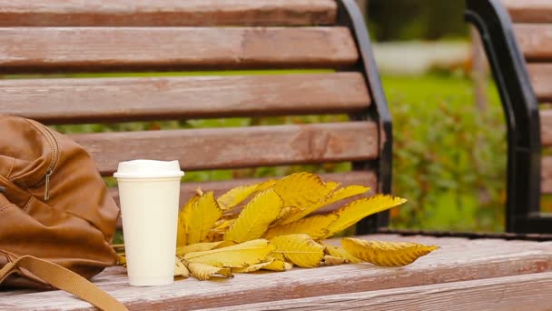Cup of hot coffee and yellow autumnal leaveas on the park bench — Stock Video