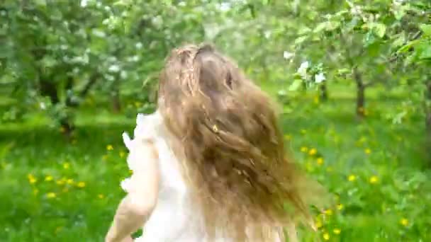 Adorable niña en el jardín de manzanas en flor en hermoso día de primavera — Vídeo de stock