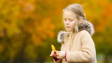 Güzel, sıcak bir günde, sonbaharda sarı yapraklı, sevimli küçük bir kızın portresi.