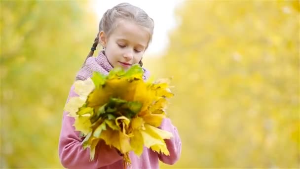 Portrait d'adorable petite fille avec bouquet de feuilles jaunes et orange à l'extérieur à la belle journée d'automne — Video