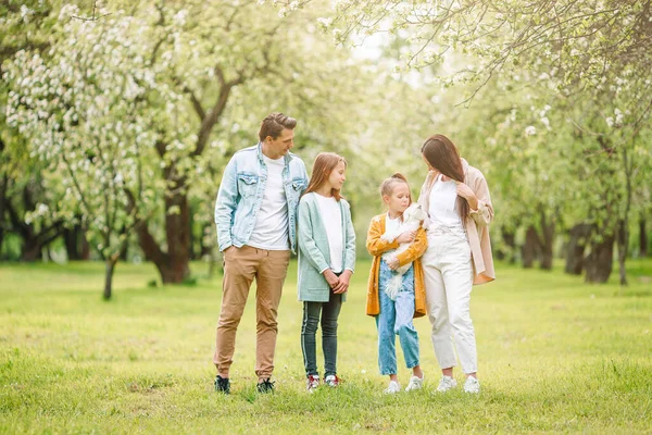 Schattige familie in bloeiende kersentuin op mooie lentedag — Stockfoto