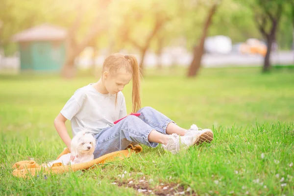 Pequena menina sorridente brincando e abraçando filhote de cachorro no parque — Fotografia de Stock