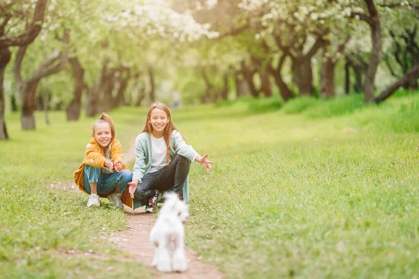 Little smiling girls playing and hugging puppy in the park — Stock Photo, Image