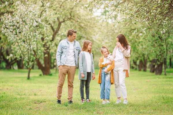 Schattige familie in bloeiende kersentuin op mooie lentedag — Stockfoto