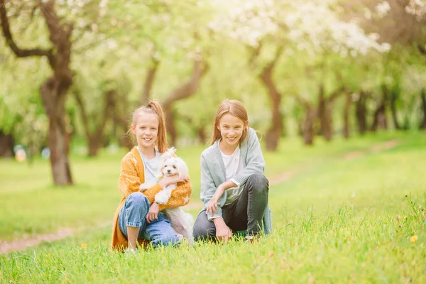 Kleine lächelnde Mädchen spielen und umarmen Welpen im Park — Stockfoto