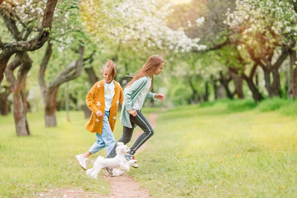 Parkta köpek yavrusuyla oynayan gülümseyen küçük kızlar — Stok fotoğraf