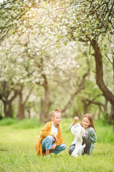 Little smiling girls playing with puppy in the park — Stock Photo, Image